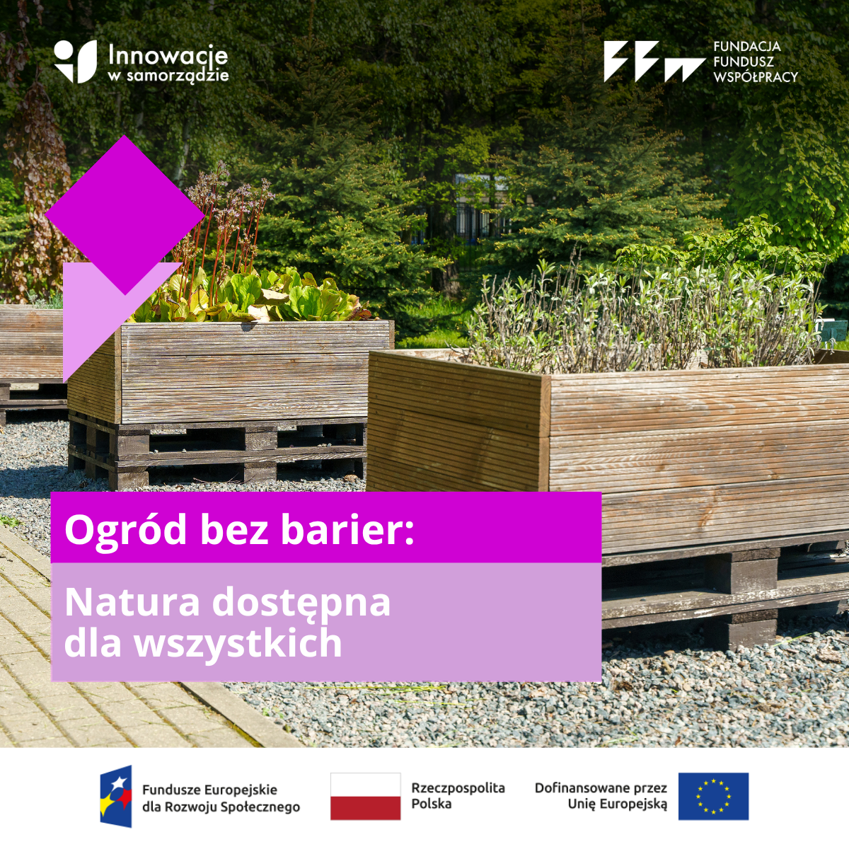 Ogród bez barier – natura dostępna dla wszystkich